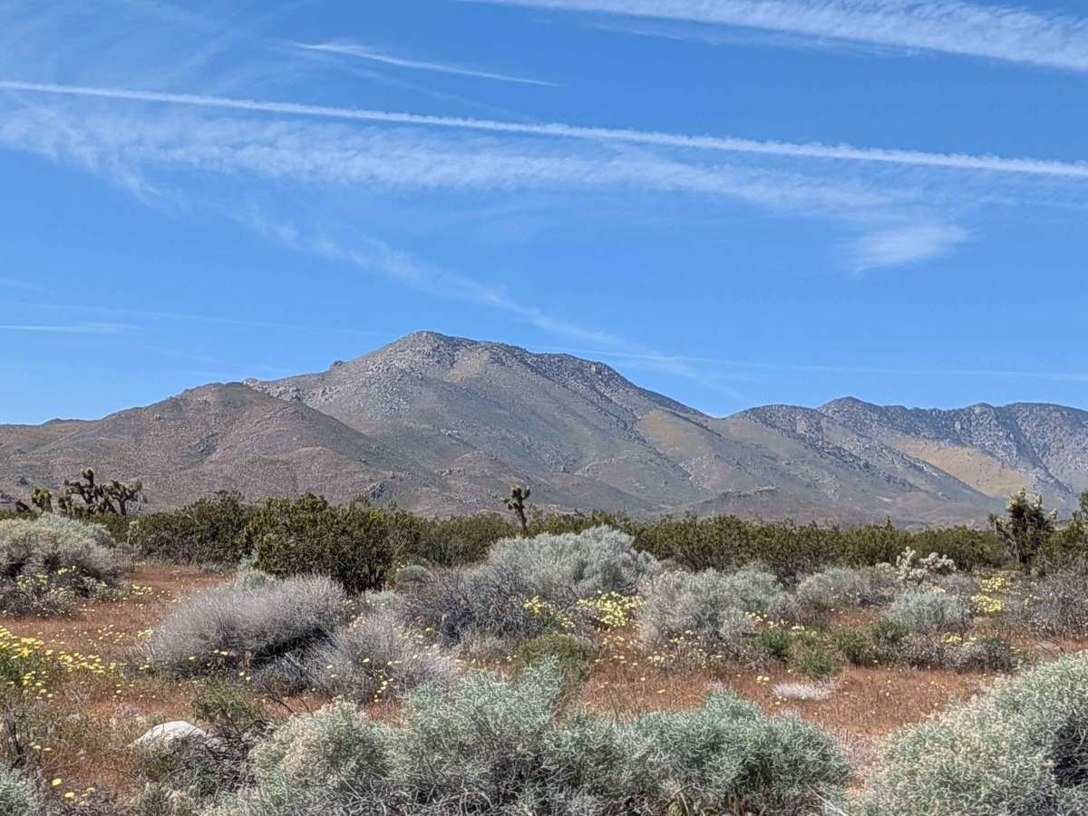 BLM LA2 Sage Canyon South photo 3