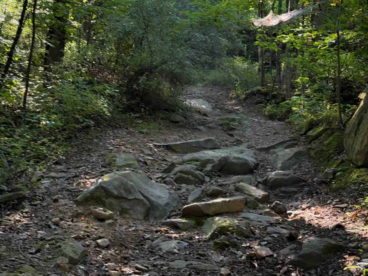 Thompson Hollow 35  photo 2