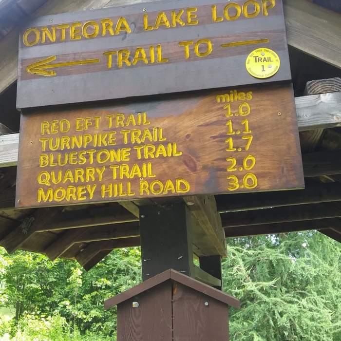 Near All Trails Loop