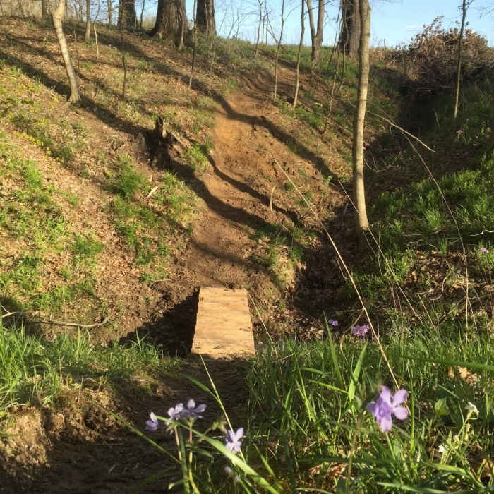 Wooden bridge crossing a ravine on Trail C. Near Trail B