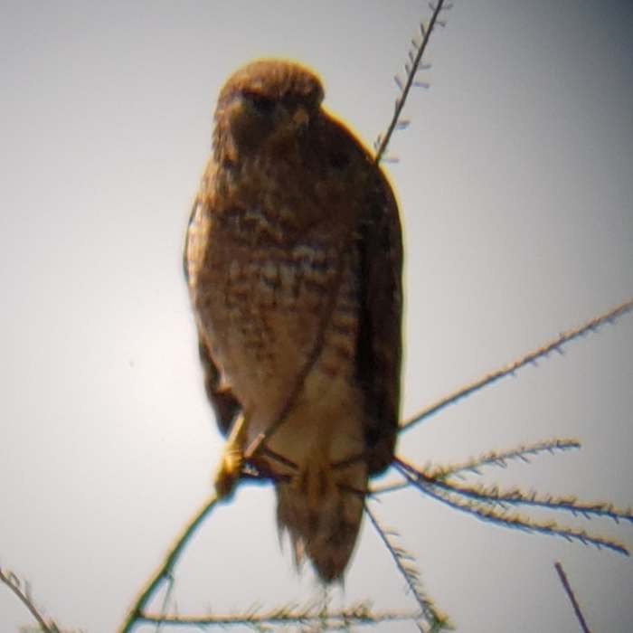 Near Harns Marsh