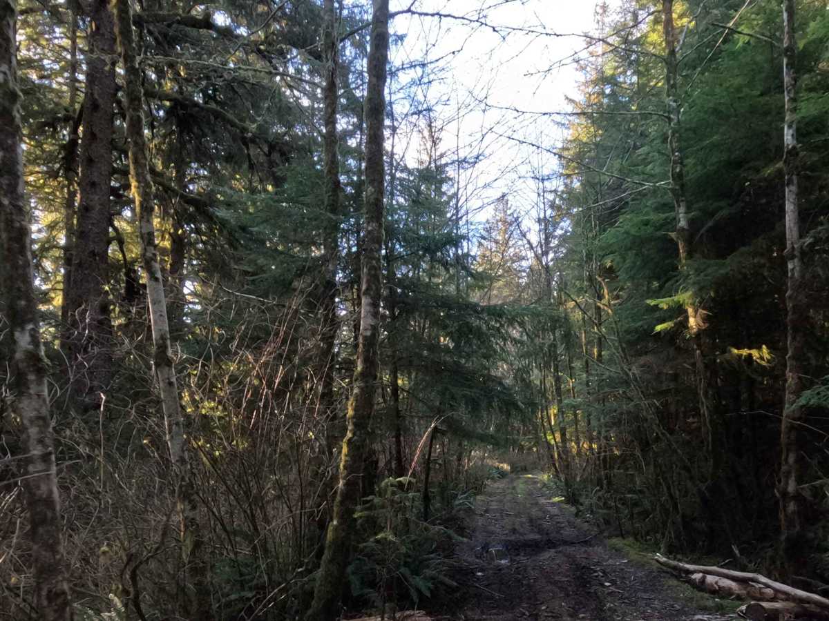 Miles Mountain photo 3