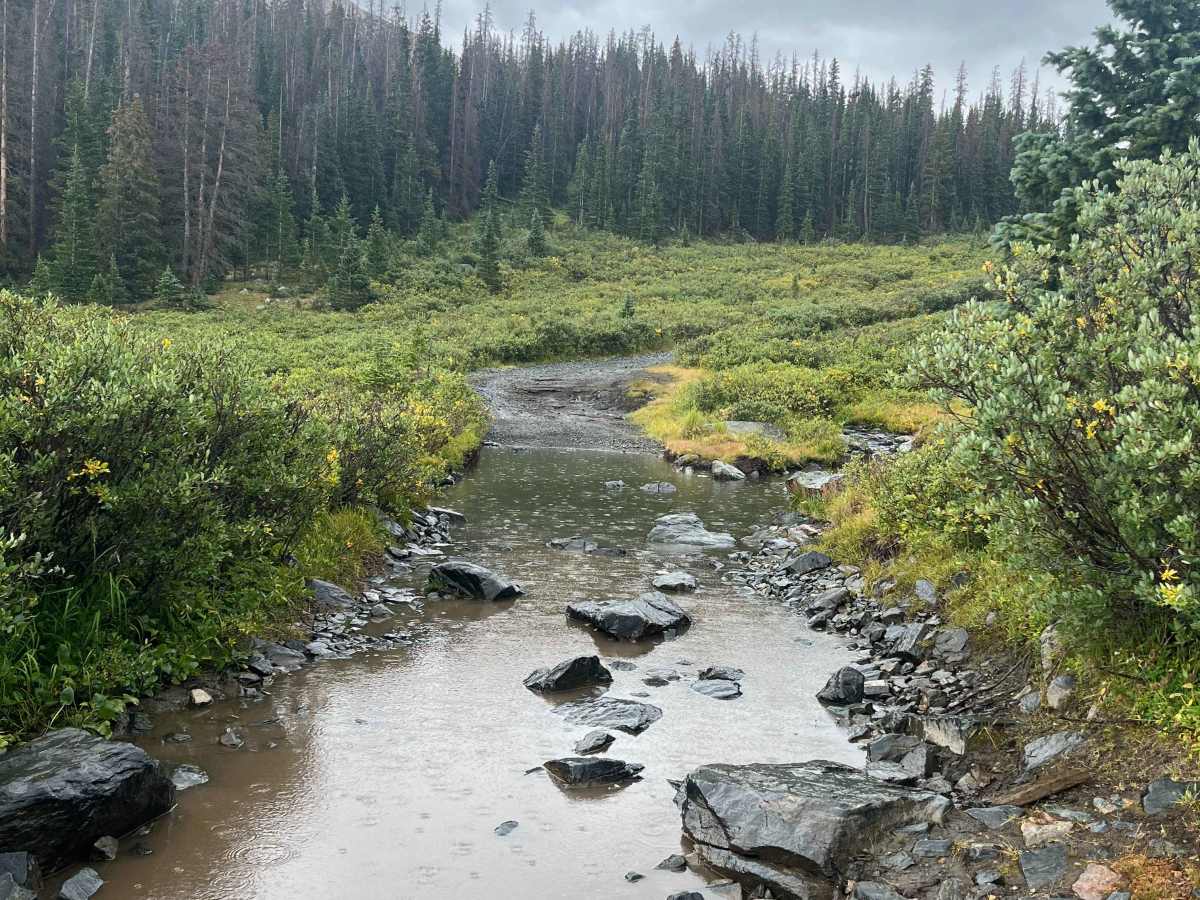 Old Tin Cup Trail trail photo