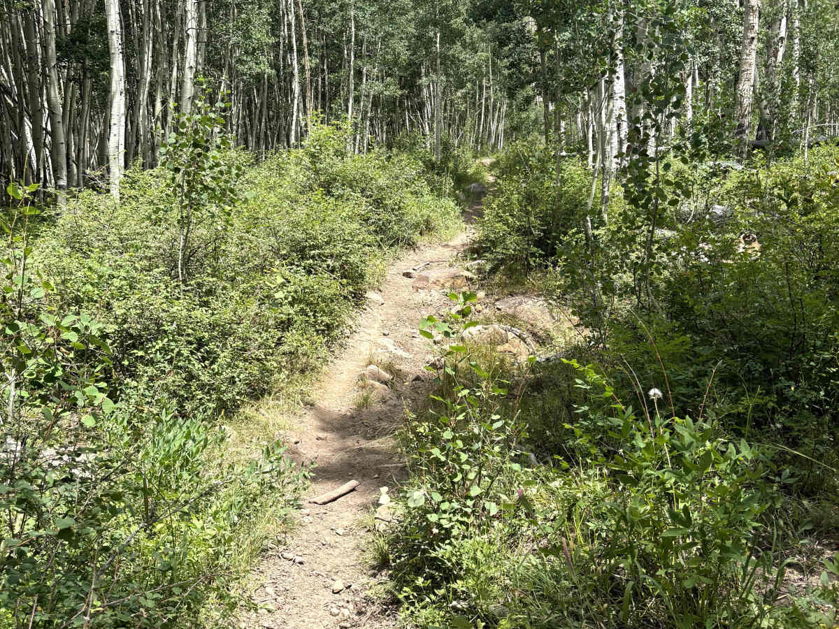 Powerline Trail photo 4