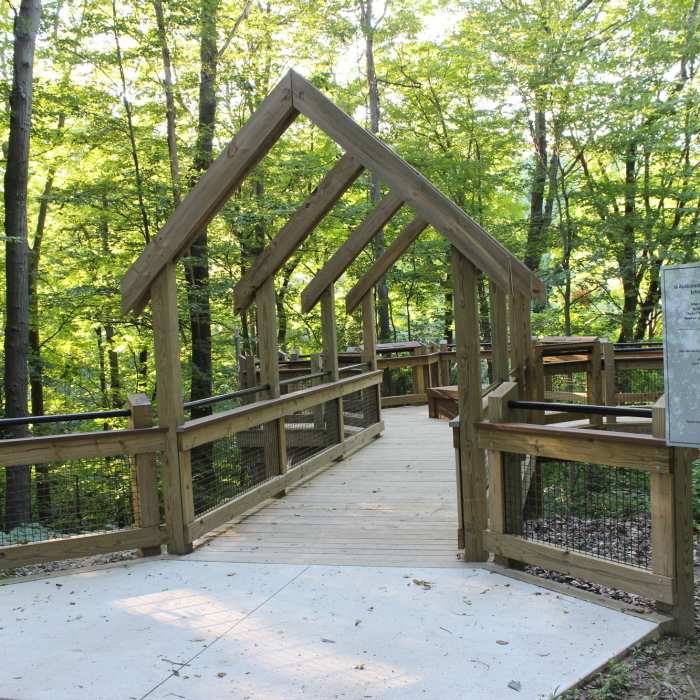 Grand Ravines Overlook - August 2016." Courtesy of Ottawa County Parks & Recreation. Near Grand Ravines Loop