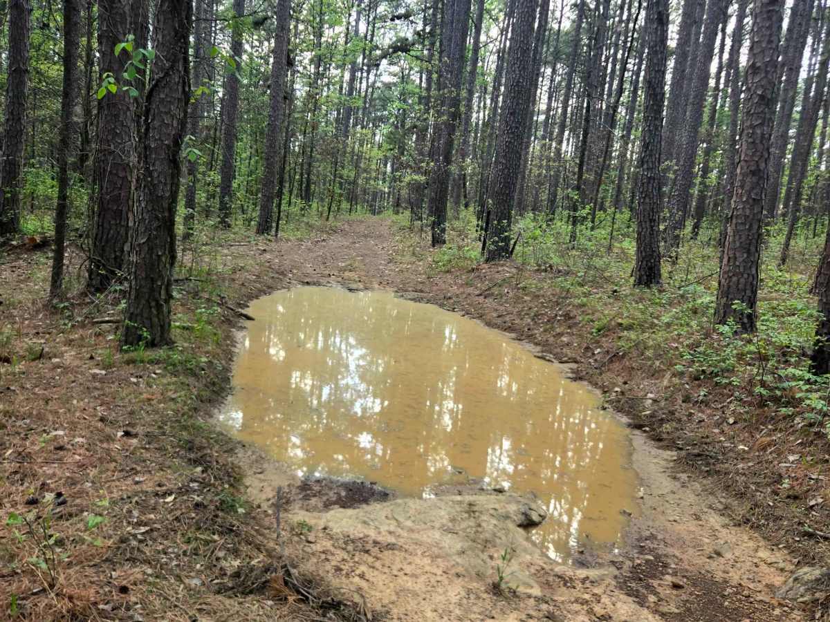 River Ridge photo 3