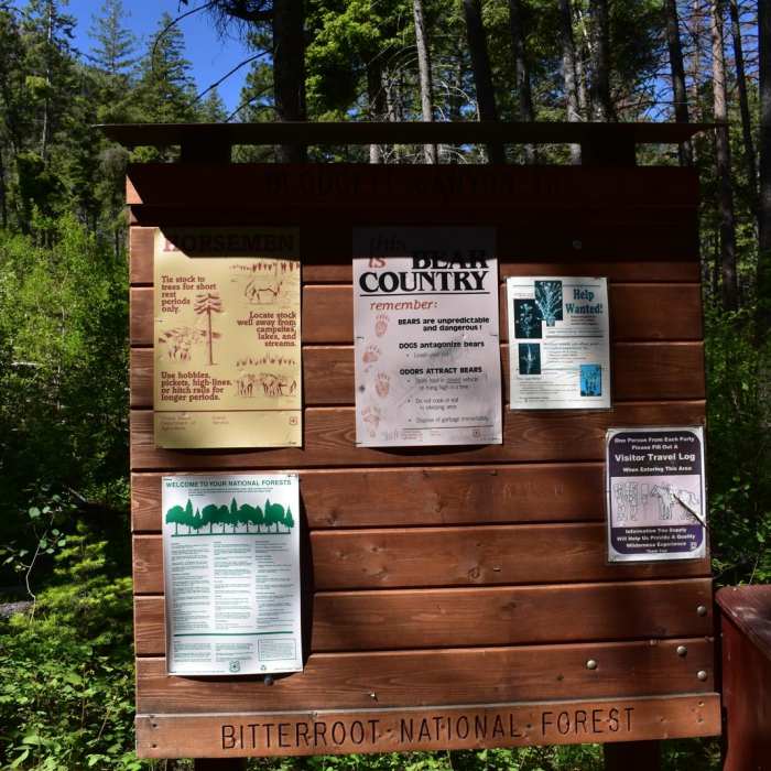 Near Blodgett Canyon