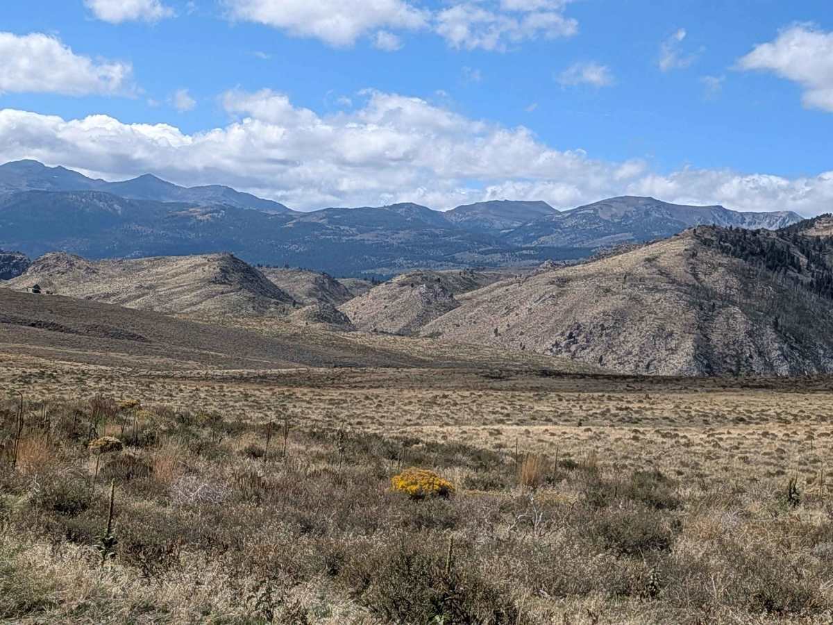 Burcham Flat Road South trail photo