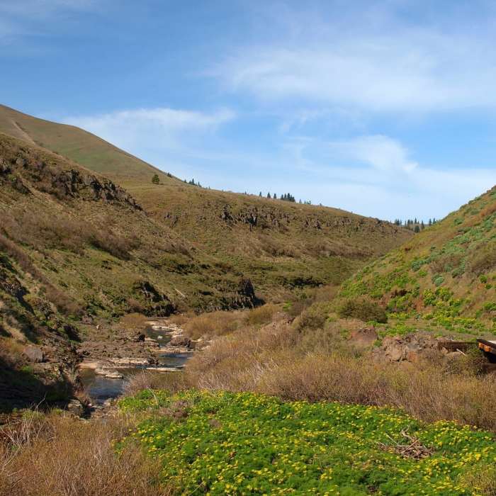 Near Klickitat Trail: Swale Canyon Segment