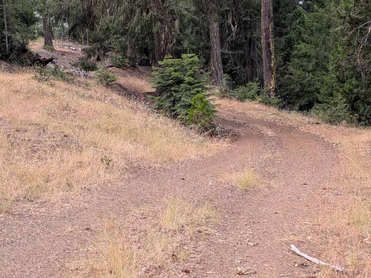 Grouse Prairie Road - FS 1N05 photo 3