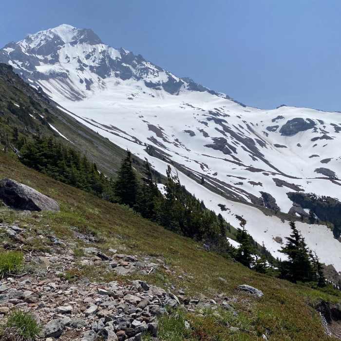 Near McNeil Point Trail #600M