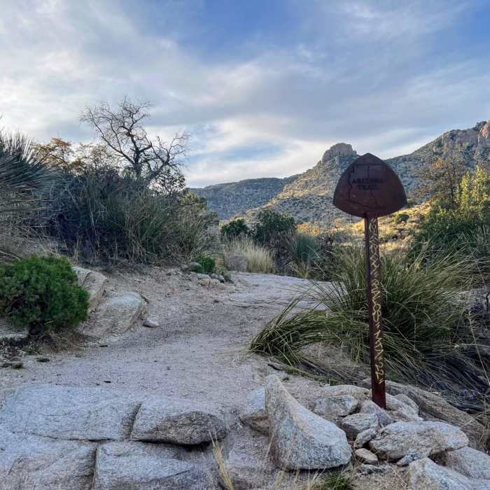 Near Arizona Trail Passage 10: Redington Pass