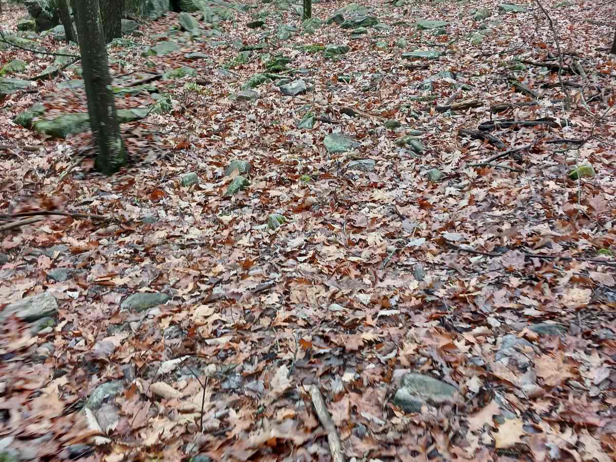 OHV 38 - Rock Run Recreation Area photo 3