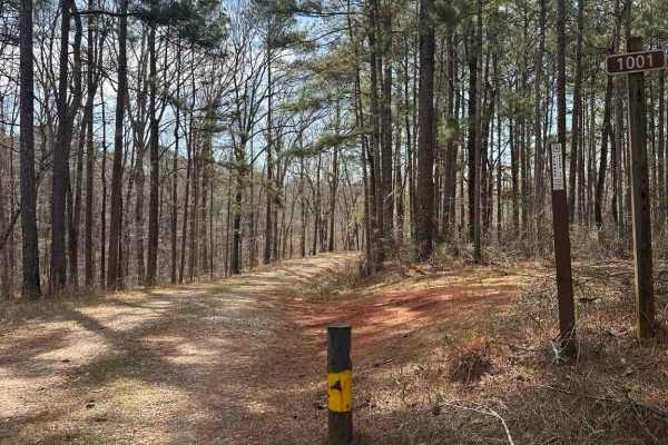 Smith Mill Road (FS 1001)