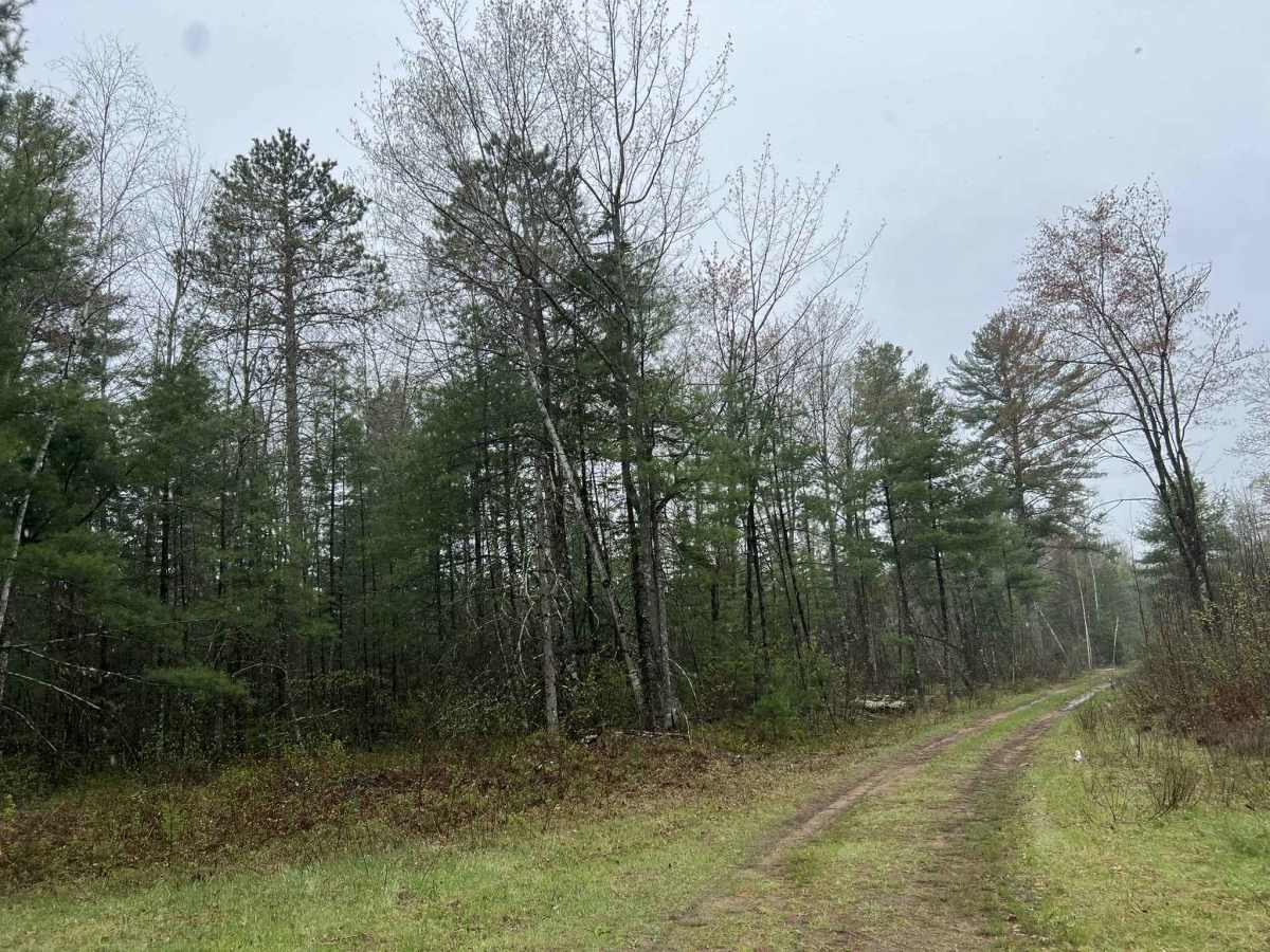 Sawbuck Road - FS 2302 photo 3