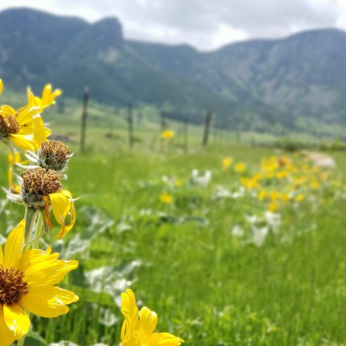 Near Little Goose Canyon