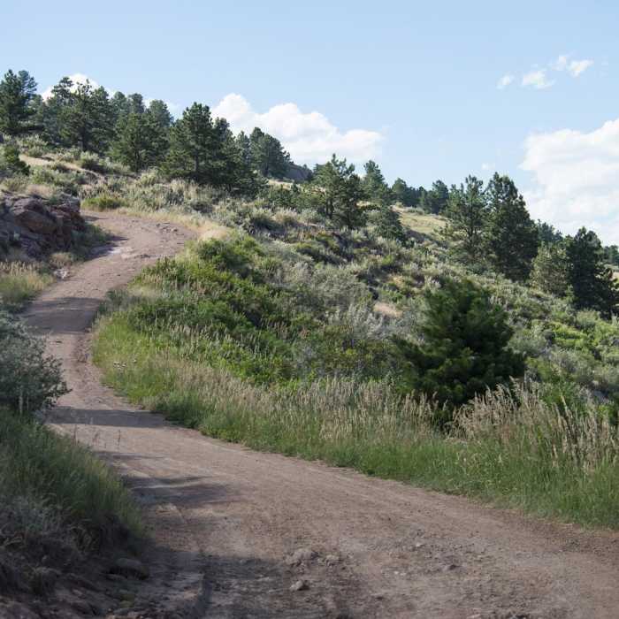 Near Stout, Sawmill + Nomad Trail Loop