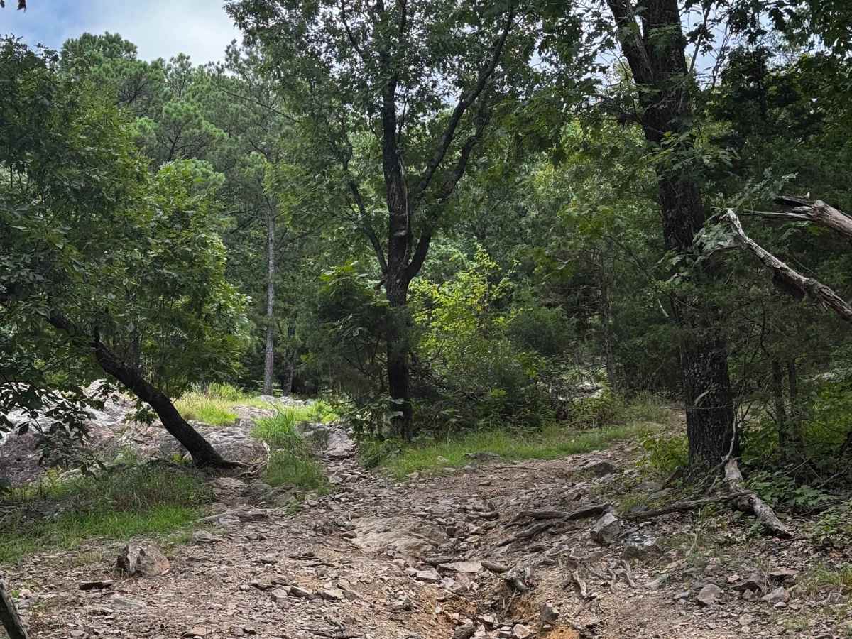 Southern Cross trail photo