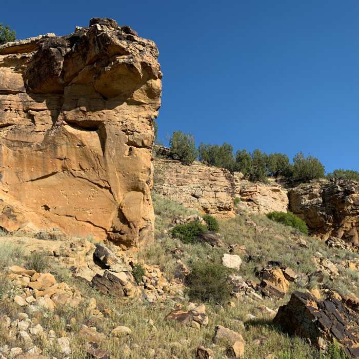 Near Vogel Canyon Loop