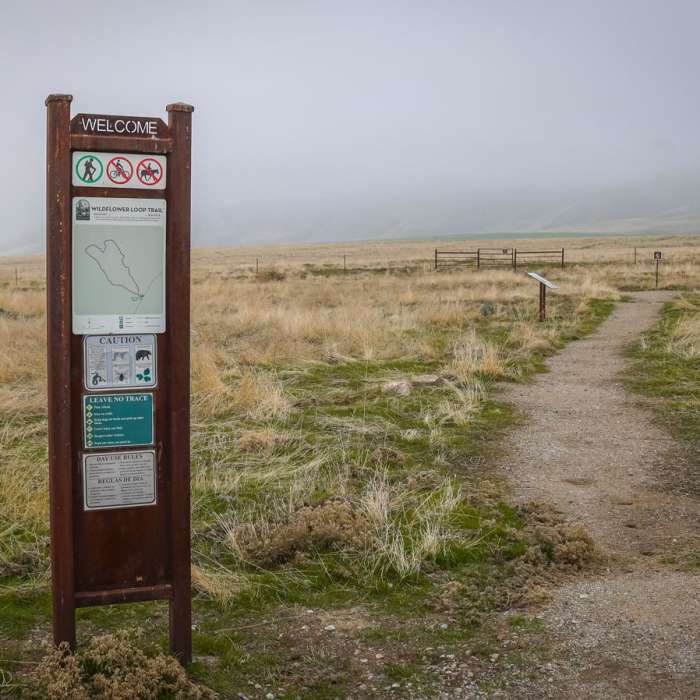 Near Wildflower Loop Trail