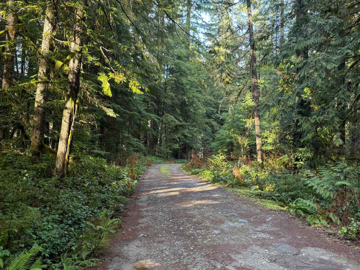 Rat Trap Pass Spur 1 photo 2