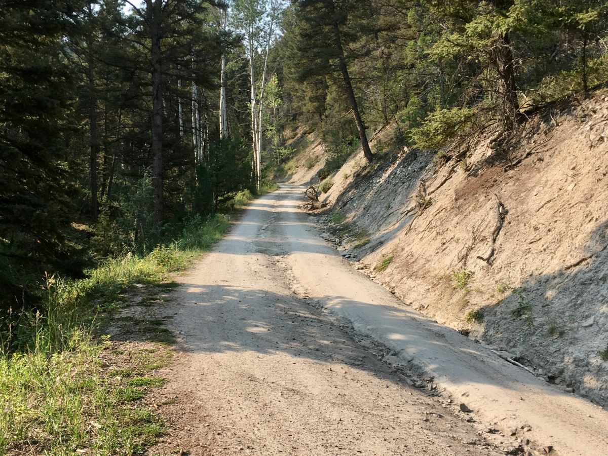 Sunnyside Road trail photo