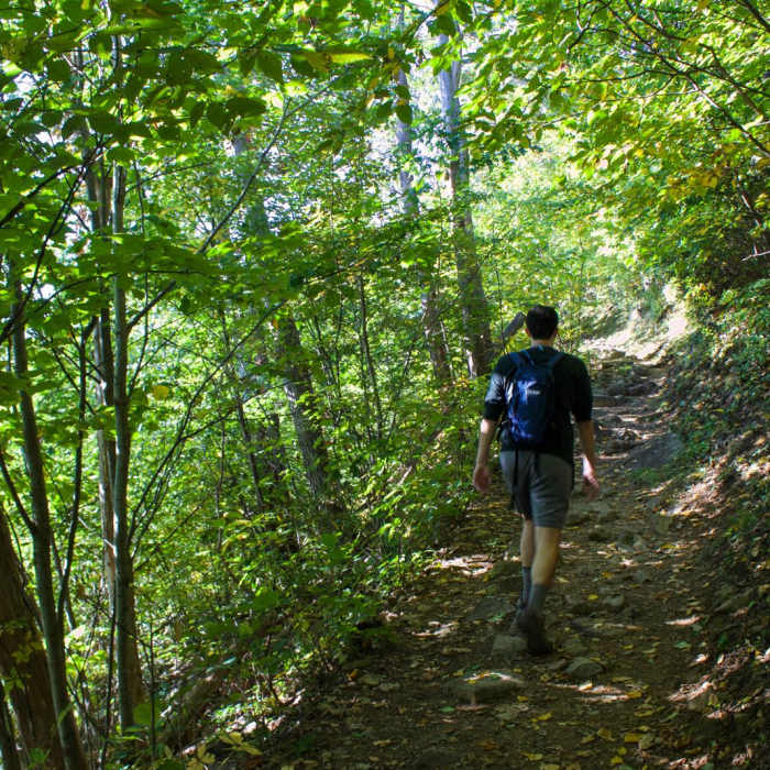 Near Mary's Rock Out-and-Back