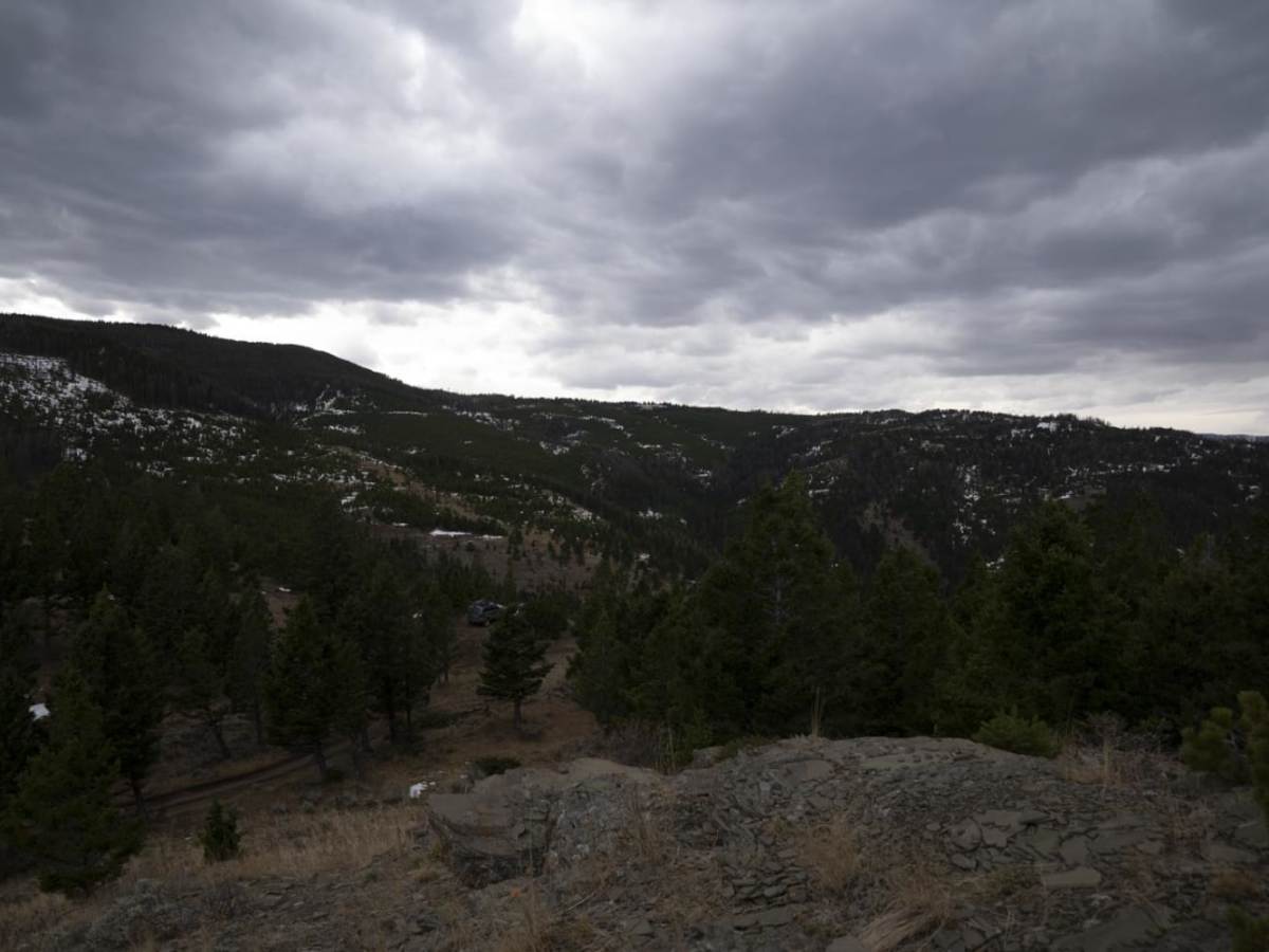 Olsen Creek photo 5