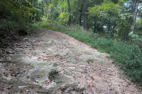 Tower Trail 30
