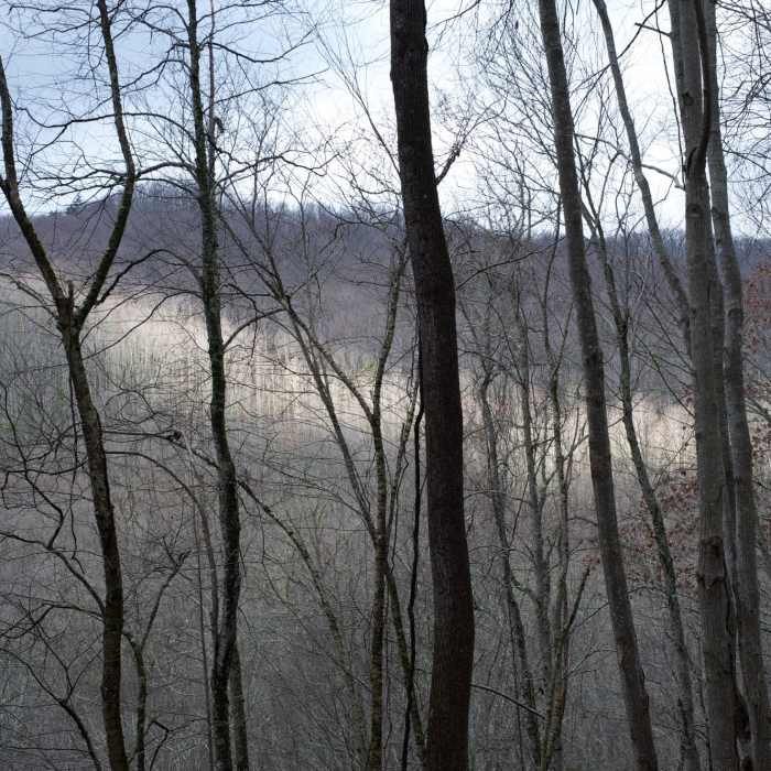 Near Jakes Creek Trail