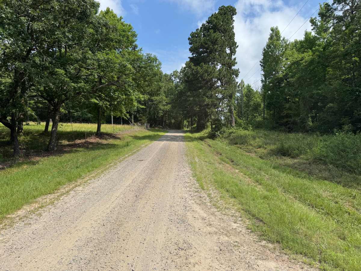 County Road 3841 photo 2