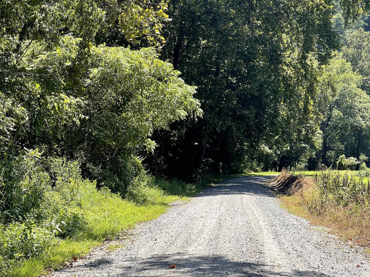 Mulberry Creek Road photo 5