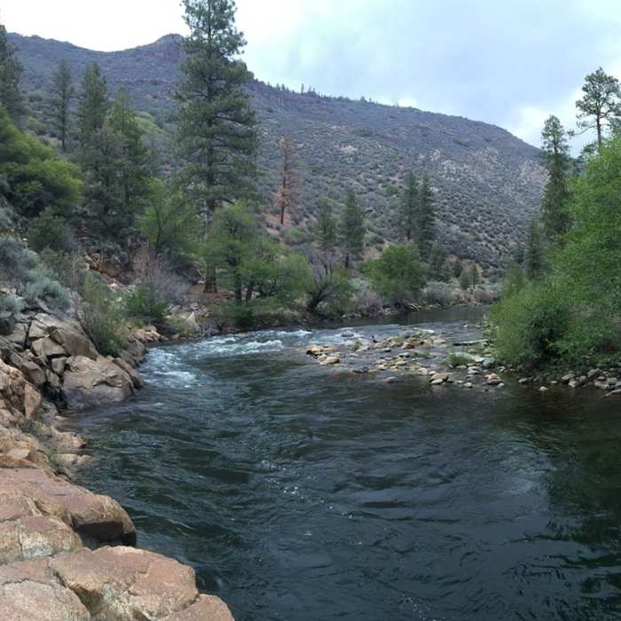Near Forks of the Kern (33E20)