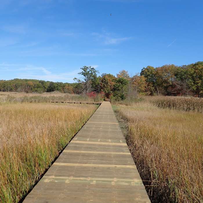 Crabbing Bridge boardwalk Near Steamboat Landing and Crabbing Bridge Loop