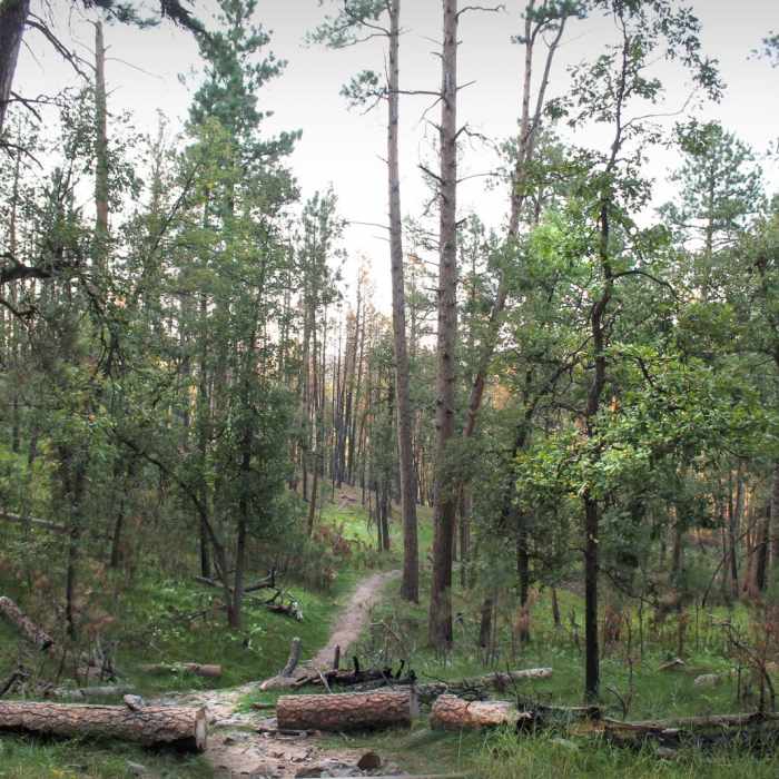 Near Lover's Leap Trail