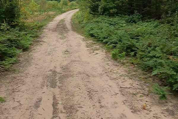 Haverstock Creek Road