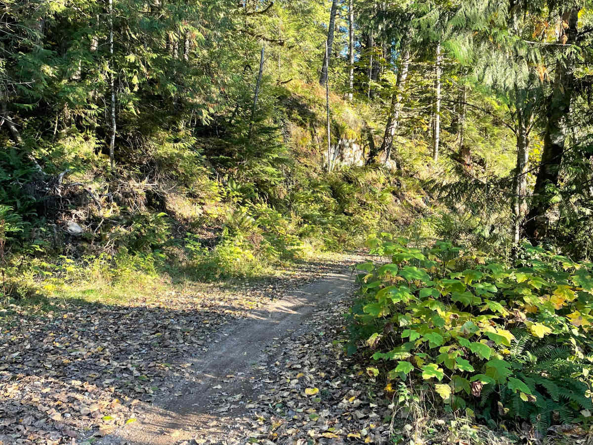 Old Pit Access photo 2