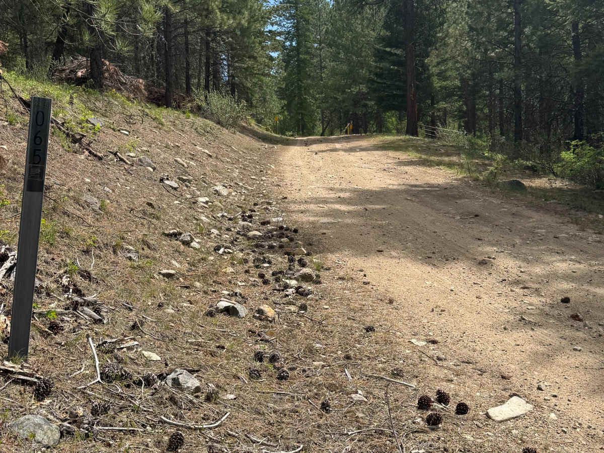 Sherman Creek Trailhead Road photo 2
