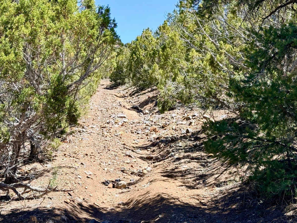 South Brock Canyon - FS 43513 photo 2