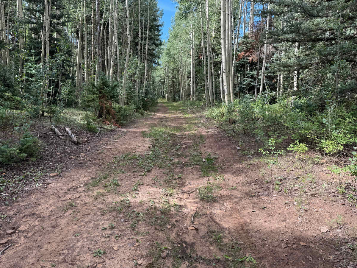 Pipe Creek Road Spur photo 4