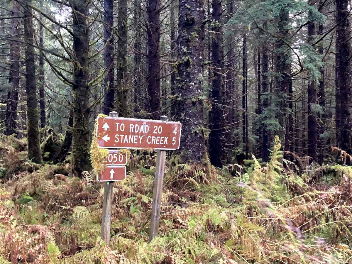 Ridge Spur 2050400 photo 2