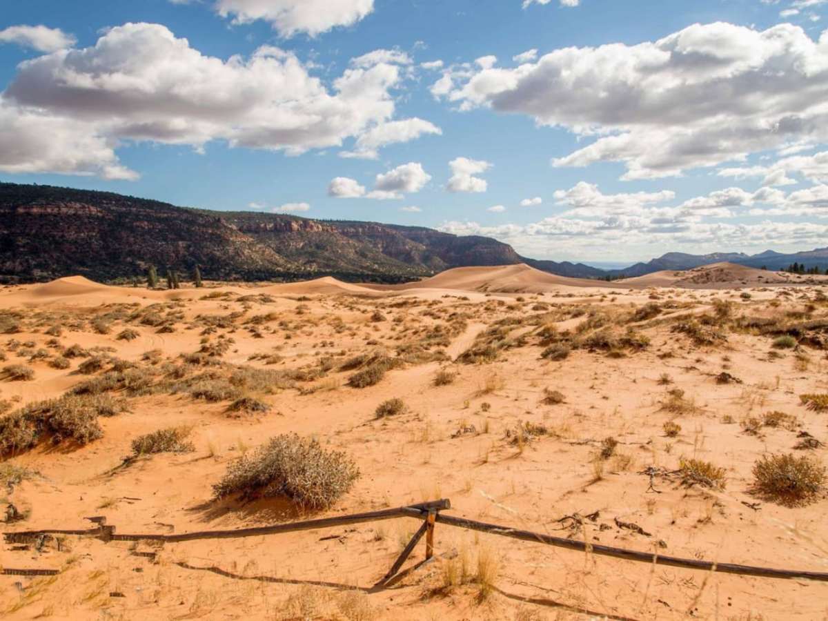 Coral Pink Sand Dunes photo 4