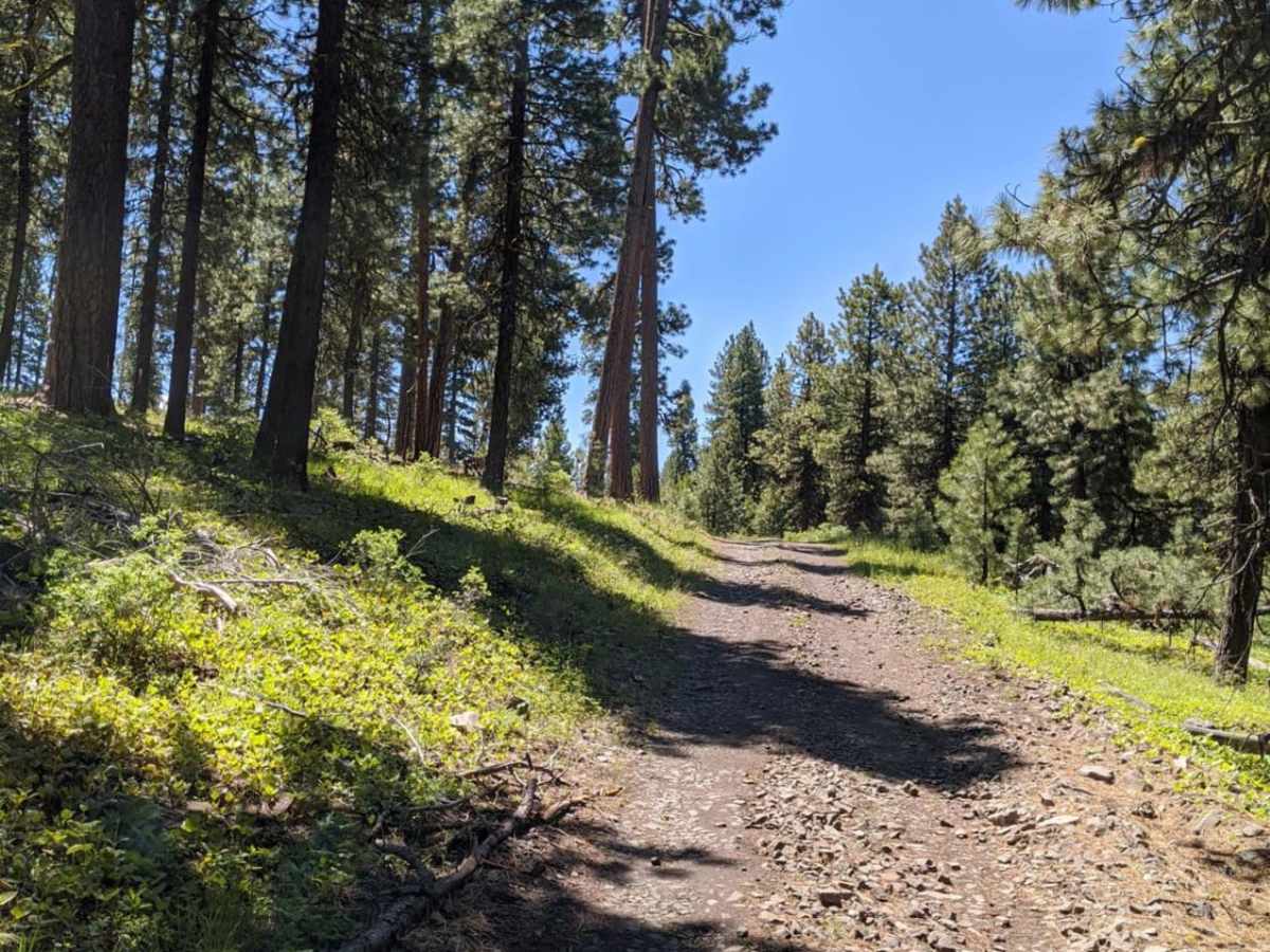 Wild Cattle Trail photo 5