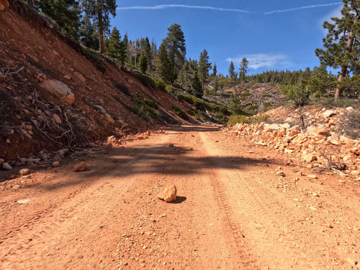 West Rim - FS 30203 photo 2