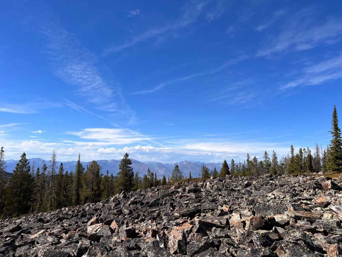 Black Bear Point trail photo