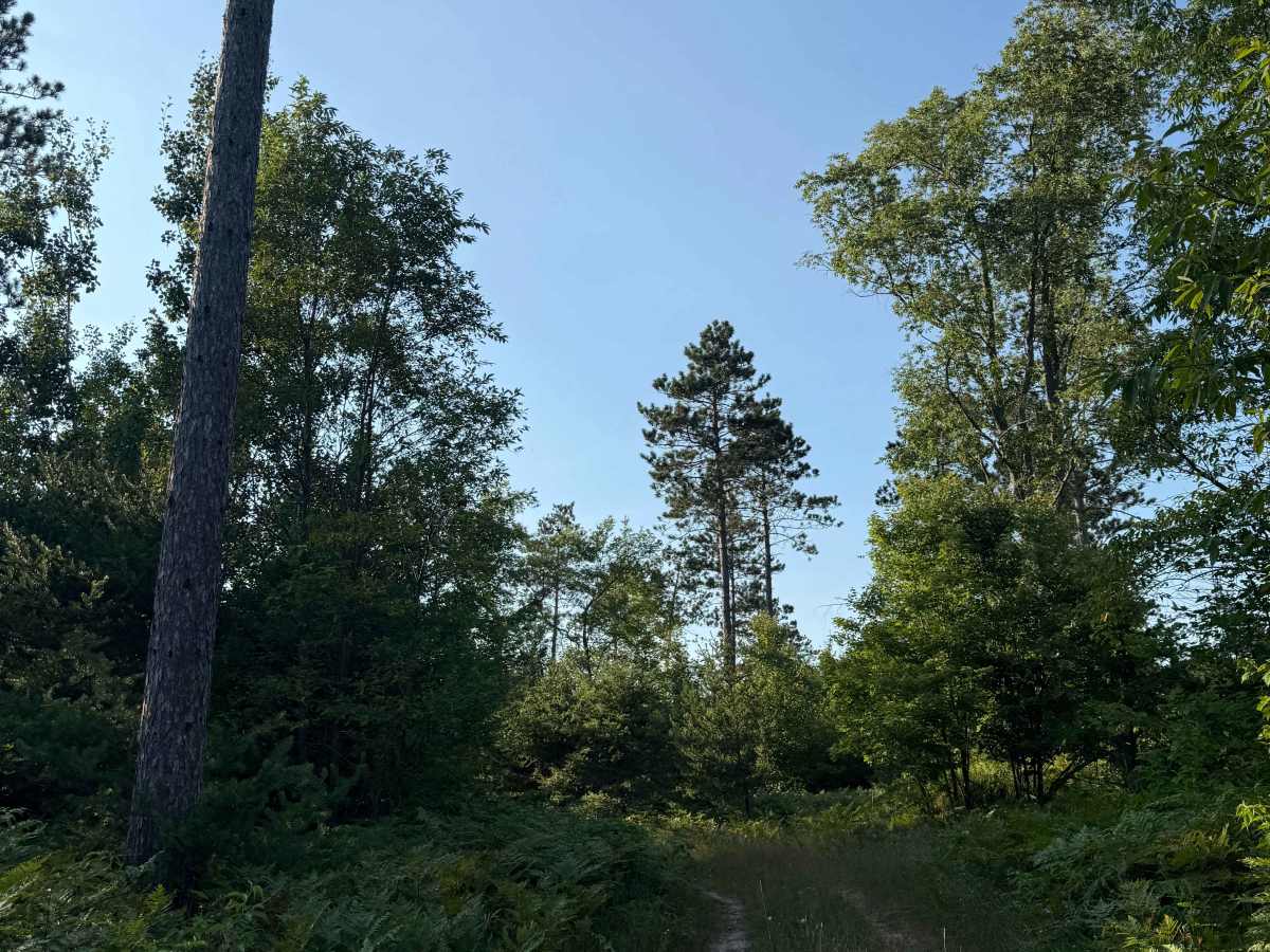 Cedar Road Loop Trail photo 3