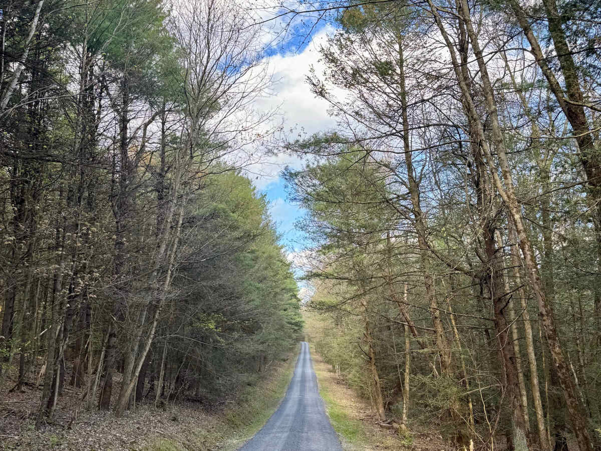 Greens Valley Road photo 4
