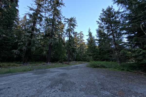 Frog Lake Butte - FS 2610-220