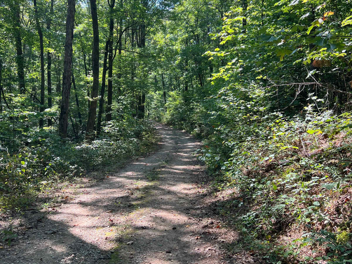 Chickamauga Creek Trail - FS 219 photo 6