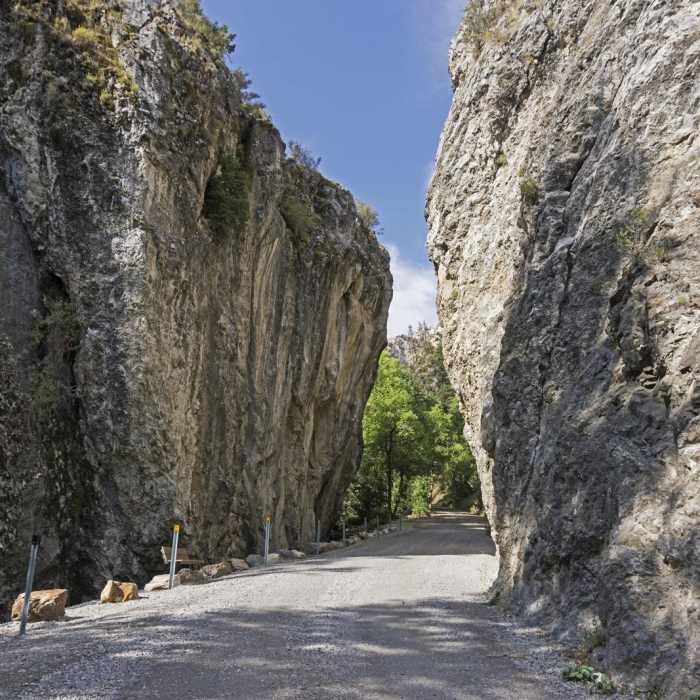 Near South Willow Lake Trail Near South Willow Lake Trail